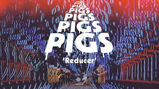 Pigs Pigs Pigs Pigs Pigs Pigs Pigs – Reducer Resimi