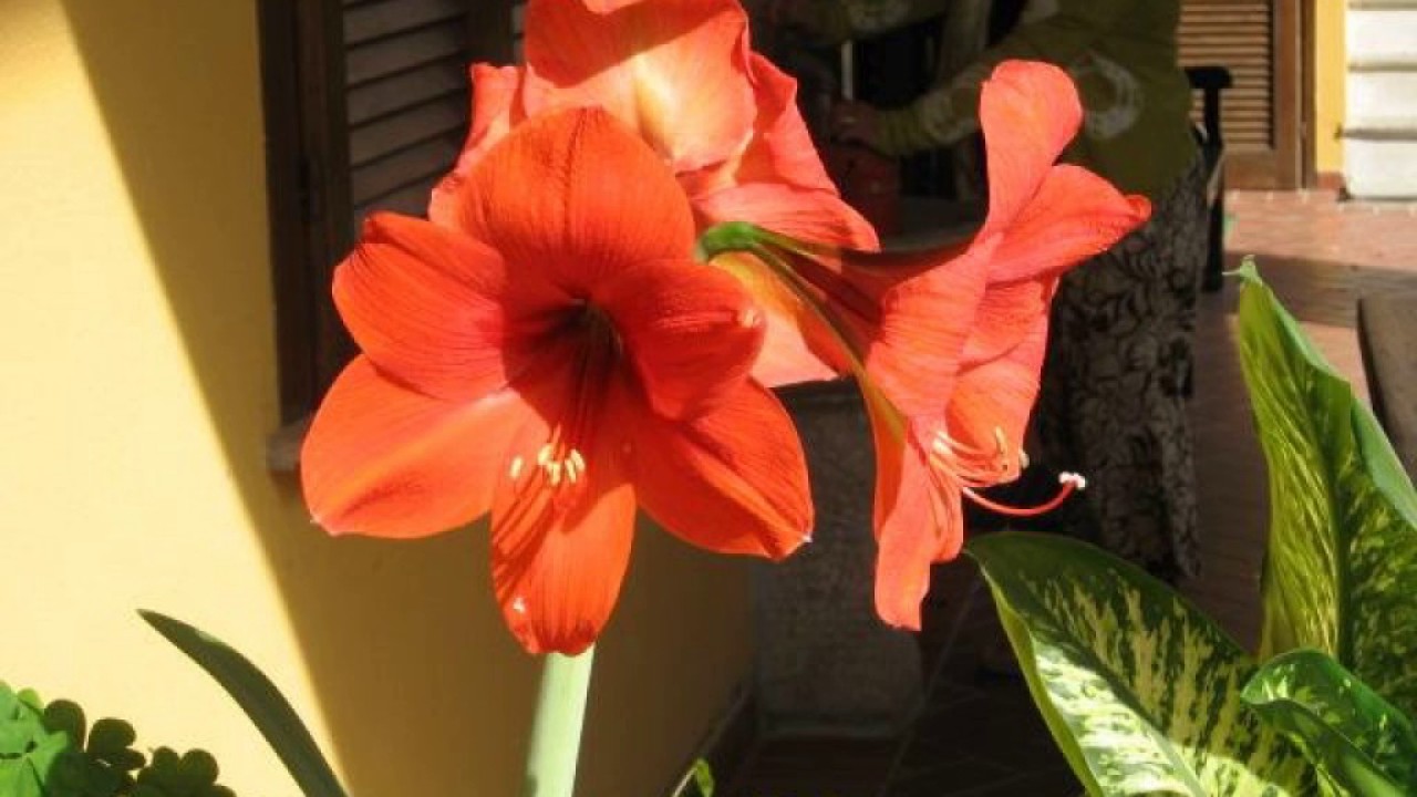 Hotel Sole Sesto Calende Italy