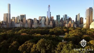 Inside Look: The Plaza Hotel New York Reveals Its Secrets