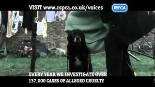 RSPCA  Campaigns  Voices