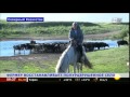 Фермер восстанавливает полуразрушенное село на севере Казахстана