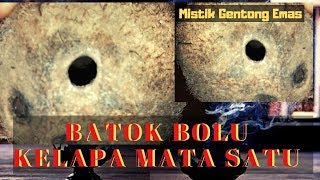 BATOK KELAPA BERMATA SATU/BATOK BOLU