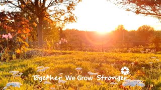 The Grow Organisation - Together We Grow Stronger