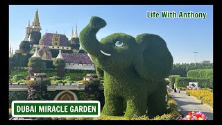 My Tiny RV Life | Dubai Miracle Garden | Last Day In Dubai