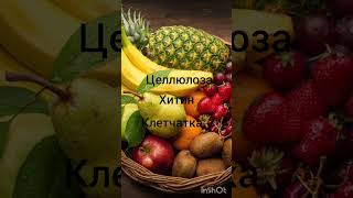 Мы, кремниевая форма жизни. #биокремний #кремний #диоксидкремния #формажизни