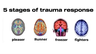 4 Stages of Trauma Response Explained (Fight, Flight, Freeze, Fawn)