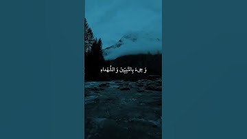 و أشرقت الأرض بنور ربها  - عبد الباسط || سورة الزمر