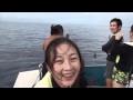 モーハワイ☆動画【ハワイの海でイルカと泳ぐその2】