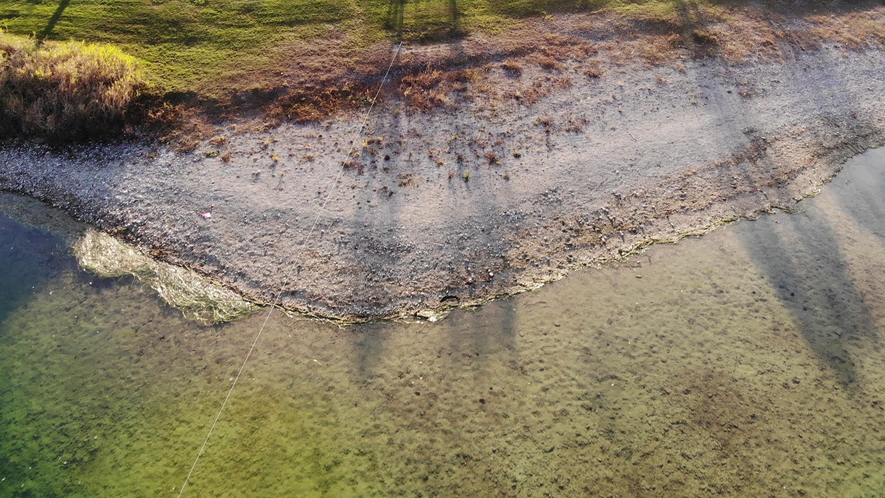 Fridolfinger See - Tauchkartierung (11/2018) DJI 0023