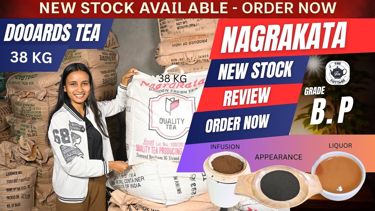 NAGRAKATA (GRADE - B.P) NEW STOCK ( CTC ) DOOARS | चाय पत्ती का बिजनेस 