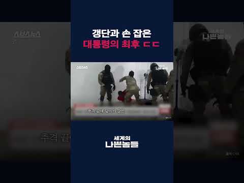 대통령마저 무너진 아이티⋯ 갱단이 집어삼킨 나라 [세계의 나쁜놈들: 아이티 갱단 편 | 이태혁 부산외대 <strong>중남미지역원</strong> 교수] #shorts / 스브스뉴스