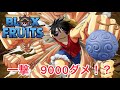 【blox fruits】一撃、約9000ダメージ!?強化されたゴムゴムの実がすげぇ!(ブロックスフルーツ)(roblox ロブロックス)