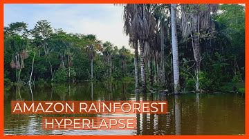 Hyperlapse footage of the Amazon Rainforest. Kapitari Ayahuasca center