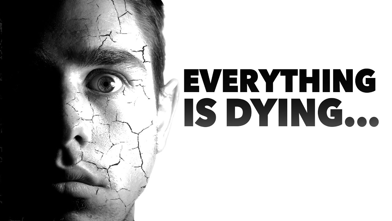 THE LAST TIME | An Existential Documentary on Impermanence (4K)