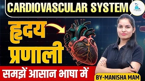 Cardiovascular System | Cardiovascular System in hindi | Anatomy and Physiology