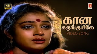 Kana Karunguyile 4K Video Song Ilayaraaja K.s.chithra Mano Gangai Amaran Captain