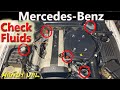 Mercedesbenz how to check car fluid levels transmission brake power steering coolant and oil