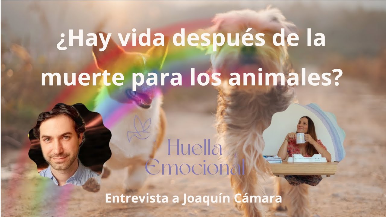 Entrevista Laura Vidal a Joaquín Cámara - ¿Hay vida después de la muerte para los animales?