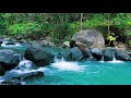 Relaxing Nature White Noise for Meditation and Deep Sleep, Gentle River Sounds in the Forest