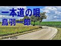 新曲「一本道の唄」鳥羽一郎 cover HARU