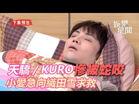 天之驕女／KURO慘被蛇咬昏迷不醒　小愛急向織田雪求救｜三立新聞網 SETN.com