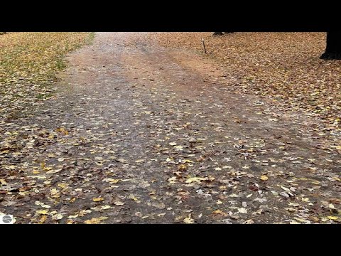 6710 BURR STREET, Benzonia, MI home video tour
