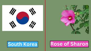 National Flowers  of Different Country. Countries National Flowers New Video 2024..
