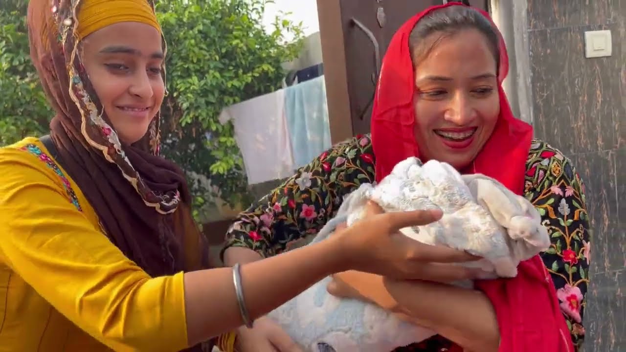 Sahib de laddua di sewa, Gurpurb di wdhai howe