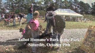 Bark in the Park 2013 promo
