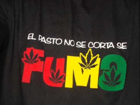 pasto pelu acapella pasto pelu acapella