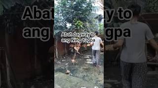 abat dagway to #shortvideo #highlights #youtubeshorts #instareels #comedyvideo  #homepage #ytshorts