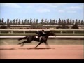 The Black Stallion Race Rescored Whit Return To Snowy River Music