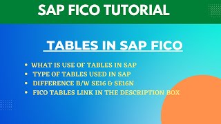 Tables in SAP | Why Tables are Used in SAP | Difference B/W SE16 & SE16N Table Screen | FICO Tables