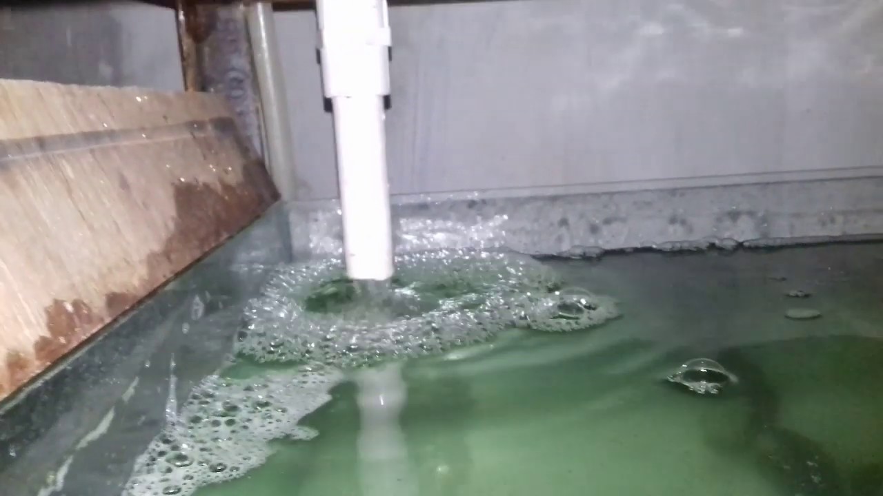 आधुनिक तरीके से मोती की खेती (Advanced pearl farming setup for