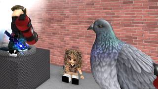 An Innocent Pigeon Brutally Assassinated