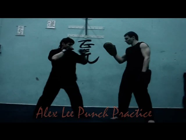 Alex Lee Punch Practice