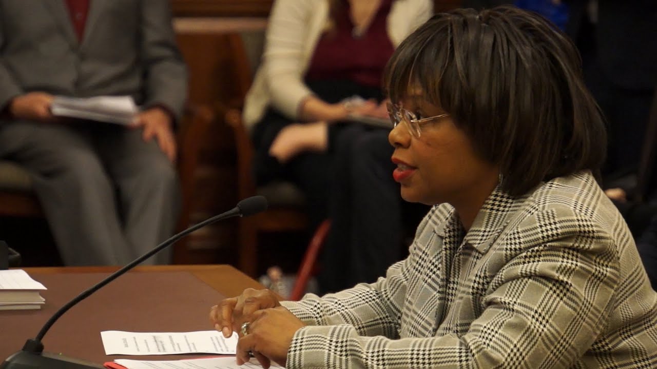 mo-state-sen-jamilah-nasheed-discusses-senate-bill-542-and-senate
