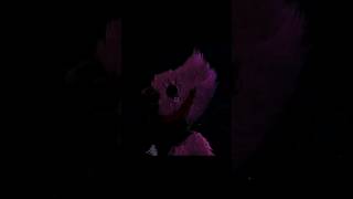 Kissy Missy Saved Us From Huggy Wuggy