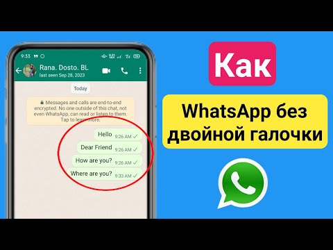 WhatsApp без двойной галочки |  Как убрать двойную галочку в сообщении WhatsApp