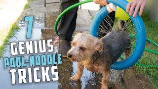 Pool noodles are cheap and can solve tons of everyday problems. you
extend your vacuum or even fill up bulky buckets! check out our 7
favorite noodl...