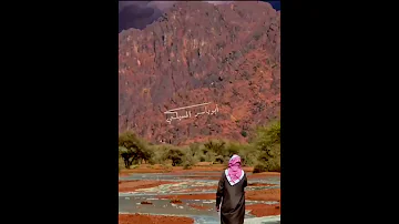 قصيدة ياطير ياللي ترفع الصوت 