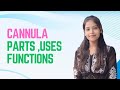 Cannula parts sizes and colors (@Nursing Anatools)
