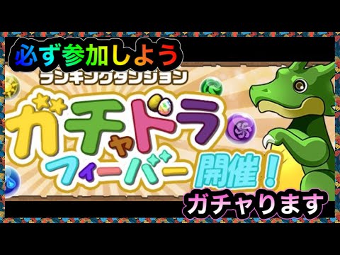 ガチャドラ ゲリラ 今日