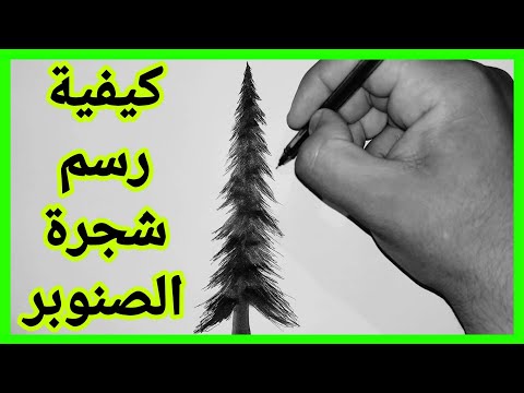 فيديو: كيفية رسم شجرة الصنوبر