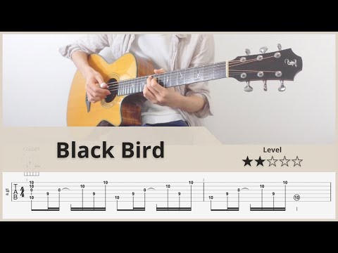 TABBlack Bird   the Beatles   FingerStyle Guitar ソロギター