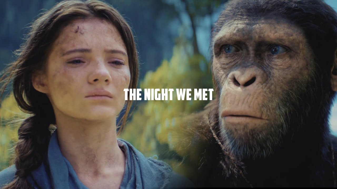 Mae x Noa → The Night We Met |Kingdom of the Planet of the Apes| MV