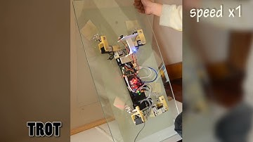 Modular Neural Control for Gait adaptation and Obstacle Avoidance of a Tailless Gecko Robot (1)