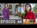 Dil Hi Tou Hai Episode 44 Promo | Dil Hi Tou Hai Episode 43 Review |Dil Hi Tou Hai Episode 44 Teaser