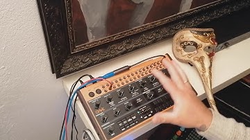 Polyphonic Behringer Crave...With only ONE!?