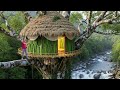Building a Tree House with Bamboo - Survive Alone in the Valley